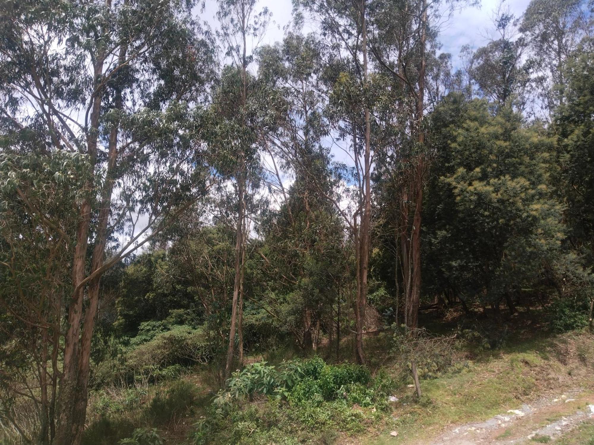 Bs Dreamz Ooty Apartment Exterior foto